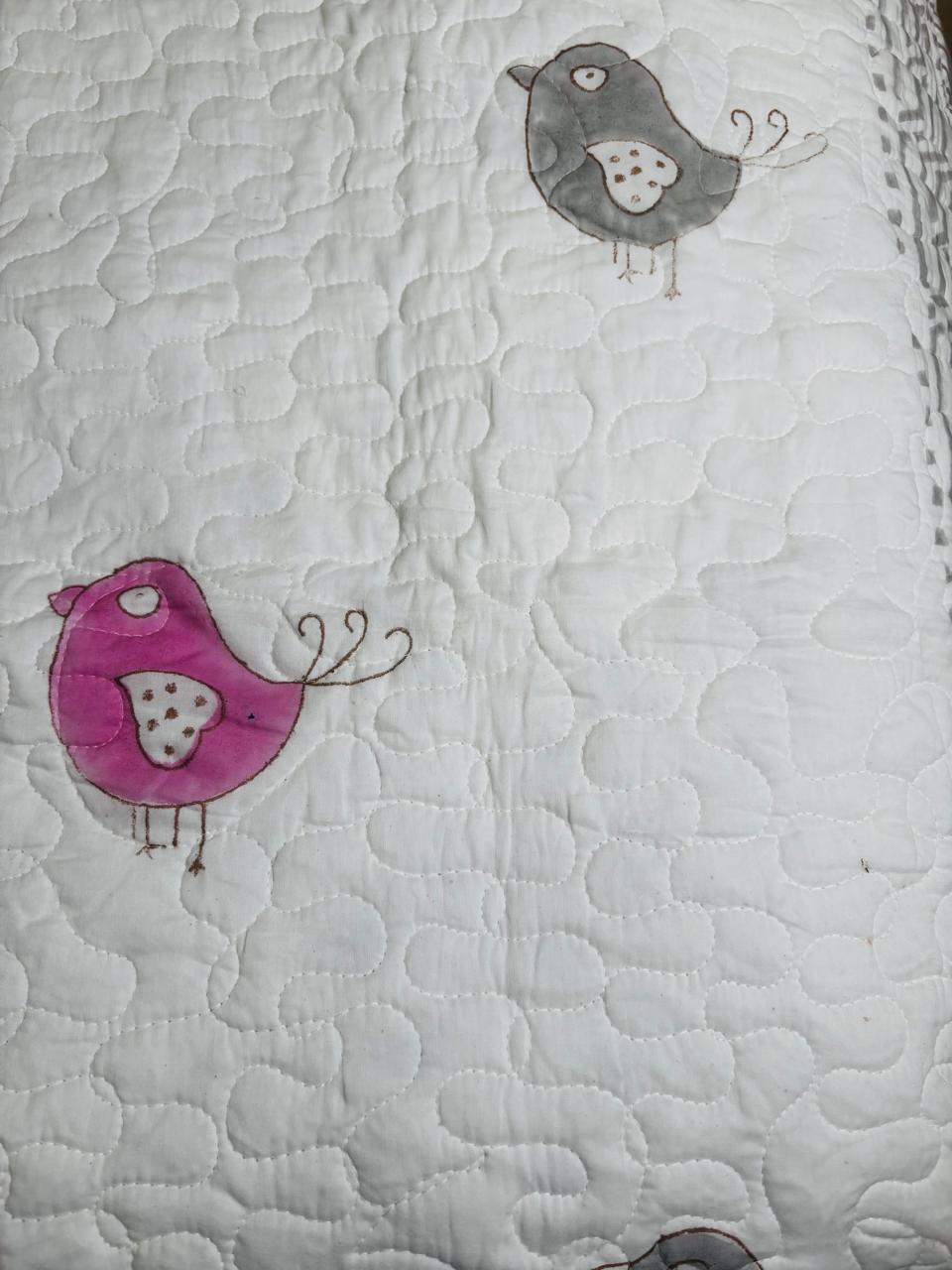 Tweety's Wild Sleepover Quilt