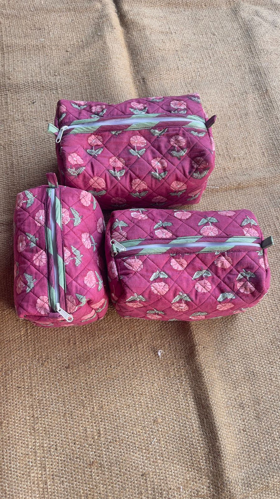 Aura Travel  Pouches